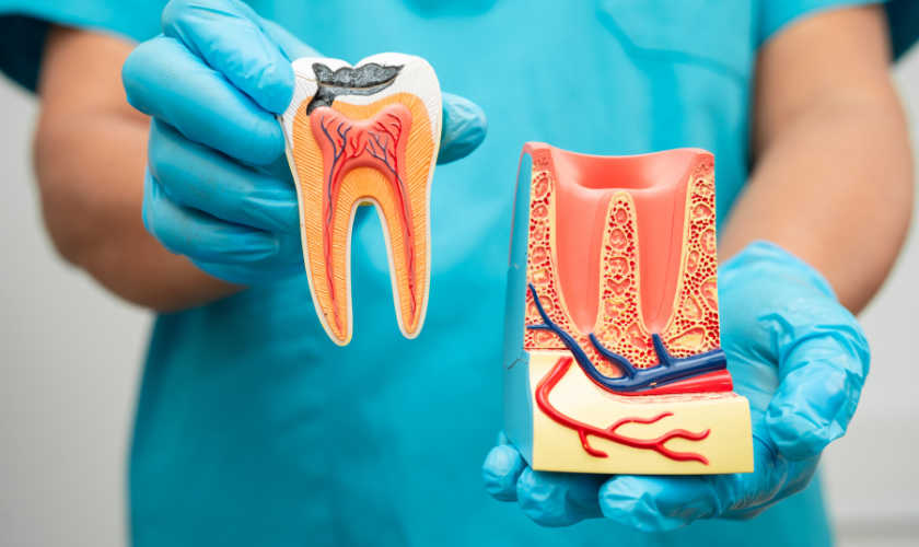 Do Root Canals Hurt? A West Jordan Guide